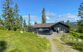 Amazing home in Sjusjøen with 3 Bedrooms